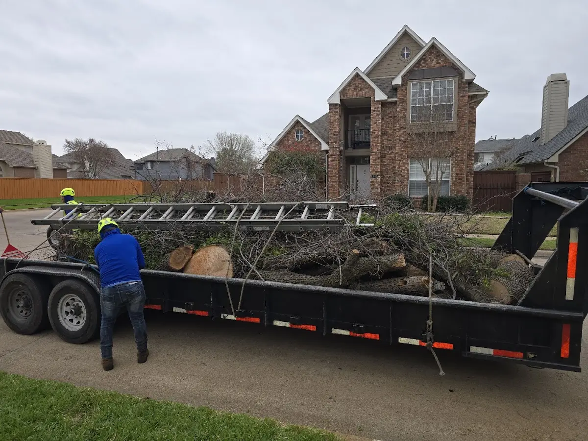 Expert Tree Pest Control with proper safety equipment in Bluewater